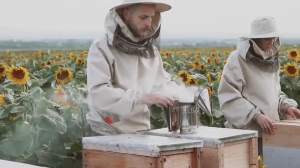 Молодые Пчеловоды Работают Пчелами Пасеке Едят Мед — стоковое видео
