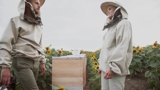 Unga Biodlare Arbetar Med Bin Bigården Och Äter Honung — Stockvideo