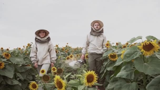 Jungimker Arbeiten Mit Bienen Bienenhaus Und Essen Honig — Stockvideo