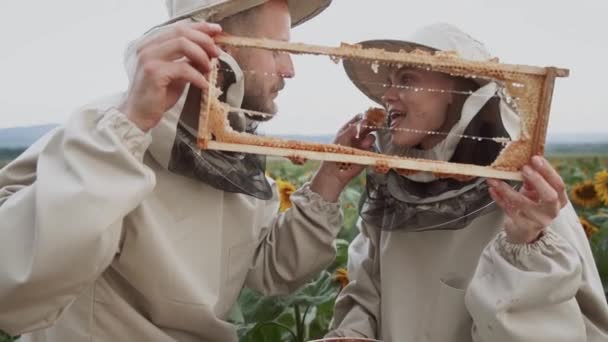 양봉원에서 일하면서 양봉가들 — 비디오
