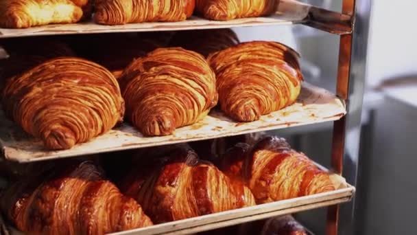 Croissants Zijn Schaal Het Verlaten Van Oven Voor Klanten Het — Stockvideo
