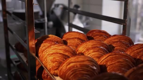 Croissants Sind Der Schale Nach Dem Verlassen Des Ofens Für — Stockvideo