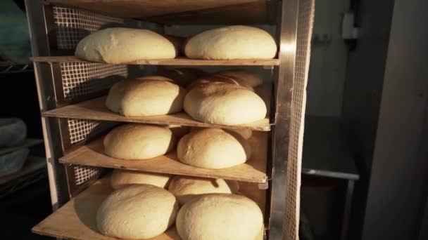 Διαδικασία Παρασκευής Ψωμιού Έννοια Της Βιομηχανίας Τροφίμων — Αρχείο Βίντεο