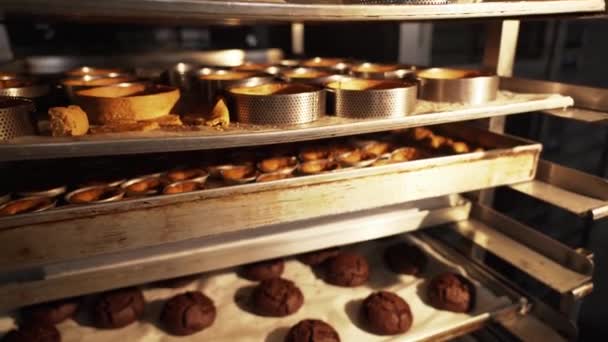 Produkcja Wyrobów Cukierniczych Sweets Produkcji Koncepcji Przemysłu — Wideo stockowe
