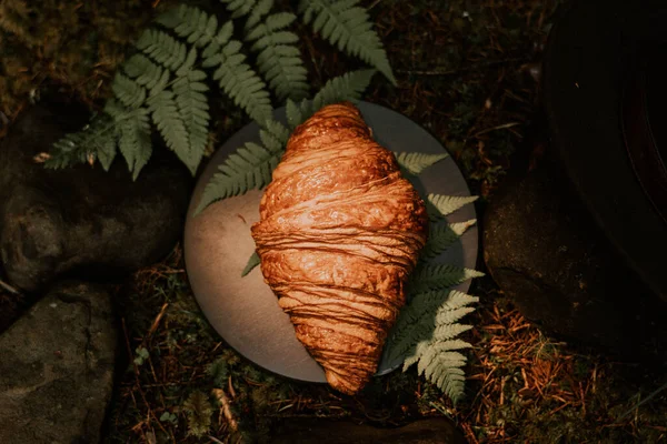 Francia Croissant Egy Fenyőerdőben — Stock Fotó