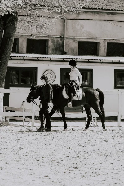 Instruktorka Ucząca Dziewczynę Jeździć Koniu Żeński Jeździec Ćwiczący Koniu Ucząc — Zdjęcie stockowe