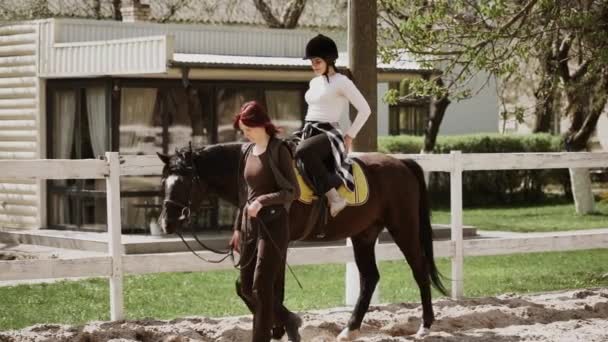 Jovem Mulher Bonita Adulta Capacete Aprendizagem Equitação Esporte Equestre Estilo — Vídeo de Stock
