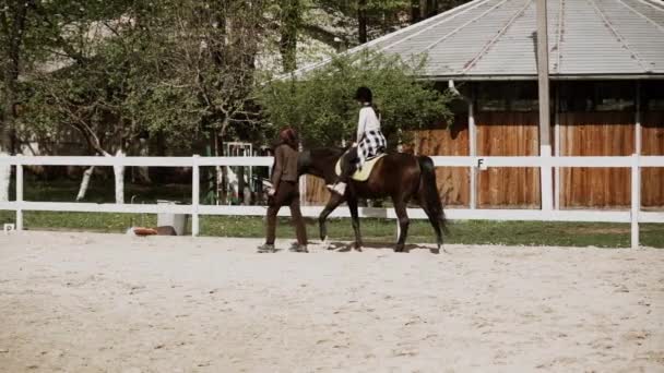 Jovem Mulher Bonita Adulta Capacete Aprendizagem Equitação Esporte Equestre Estilo — Vídeo de Stock