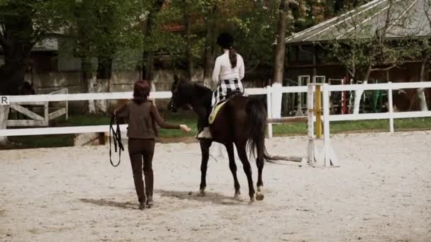 Joven Adulto Hermosa Mujer Aprendizaje Del Casco Equitación Ecuestre Sport — Vídeo de stock
