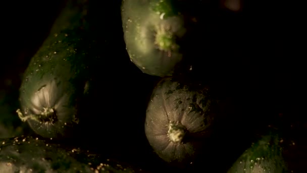Verse Komkommers Zwarte Achtergrond Roterende Closeup — Stockvideo