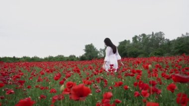 Haşhaş tarlasında kısa beyaz bir elbise giymiş güzel bir kadın, güzel kırmızı çiçeklerin arasında, gülümseyen ve rüzgarda poz veren. Doğa konsepti.