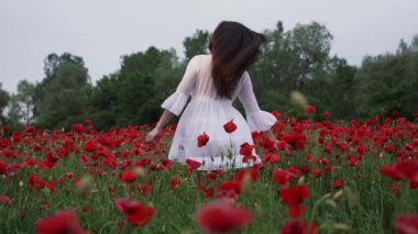 Haşhaş tarlasında kısa beyaz bir elbise giymiş güzel bir kadın, güzel kırmızı çiçeklerin arasında, gülümseyen ve rüzgarda poz veren. Doğa konsepti.