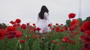 Haşhaş tarlasında kısa beyaz bir elbise giymiş güzel bir kadın, güzel kırmızı çiçeklerin arasında, gülümseyen ve rüzgarda poz veren. Doğa konsepti.