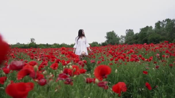 Una Mujer Hermosa Vestido Blanco Corto Campo Amapola Entre Hermosas — Vídeo de stock