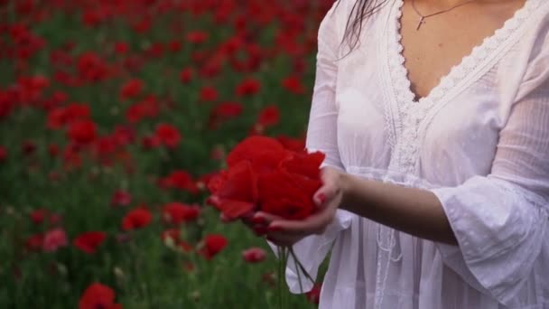 美しい緋色の花の間で ケシ畑の短い白いドレスの美しい女性は 笑顔と風の中でポーズ — ストック動画