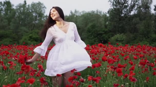 Krásná Žena Krátkých Bílých Šatech Makovém Poli Mezi Krásnými Šarlatovými — Stock video