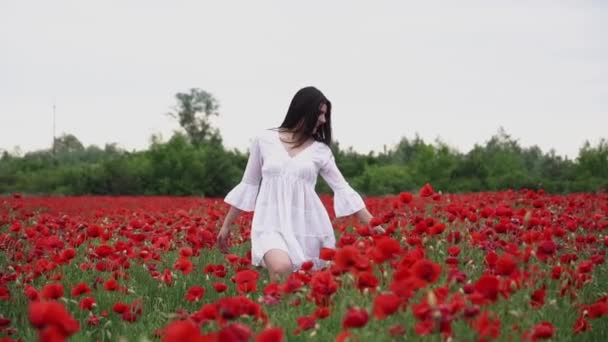 一个穿着白色短裙的漂亮女人在罂粟田里 在美丽的红色花朵中 在风中微笑和摆姿势 — 图库视频影像