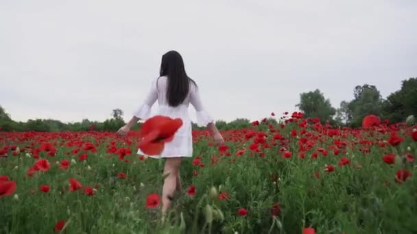 Красива Жінка Короткій Білій Сукні Маковому Полі Серед Красивих Червоних — стокове відео