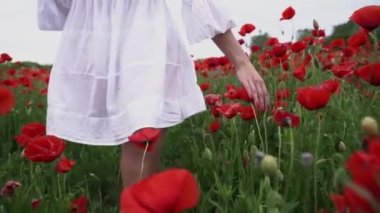 Haşhaş tarlasında kısa beyaz bir elbise giymiş güzel bir kadın, güzel kırmızı çiçeklerin arasında, gülümseyen ve rüzgarda poz veren. Doğa konsepti.