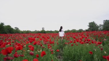 Haşhaş tarlasında kısa beyaz bir elbise giymiş güzel bir kadın, güzel kırmızı çiçeklerin arasında, gülümseyen ve rüzgarda poz veren. Doğa konsepti.