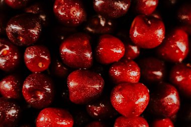 Siyah arka planda kırmızı kiraz üzümü