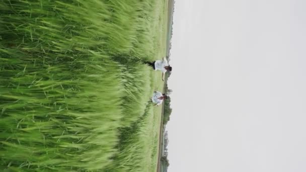 Команда Трех Молодых Танцоров Шляпах Танцует Веселится Зеленом Пшеничном Поле — стоковое видео