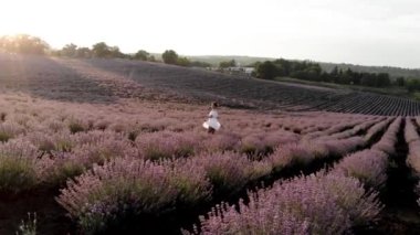 Gündoğumunda lavanta tarlalarında koşan bir kadının hayali ve ilham verici görüntüsü. Provence doğasının güzelliği ve sağlıklı yaşam tarzı 4k