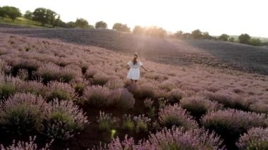 Gündoğumunda lavanta tarlalarında koşan bir kadının hayali ve ilham verici görüntüsü. Provence doğasının güzelliği ve sağlıklı yaşam tarzı 4k