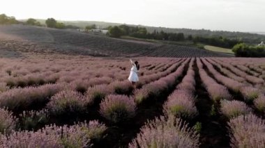 Gündoğumunda lavanta tarlalarında koşan bir kadının hayali ve ilham verici görüntüsü. Provence doğasının güzelliği ve sağlıklı yaşam tarzı 4k