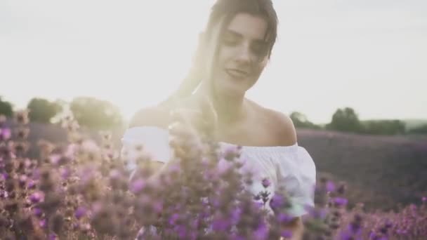 美丽的女人走过薰衣草场爱情自然白衣仙女幸福的概念 — 图库视频影像