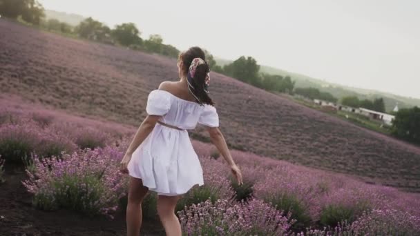 Belle Femme Marchant Travers Les Fleurs Champ Lavande Amour Nature — Video