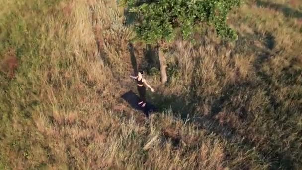日没の山の木の下で瞑想するスポーツ女性 編集とヨガのコンセプト ドローンショット 4Kについて — ストック動画