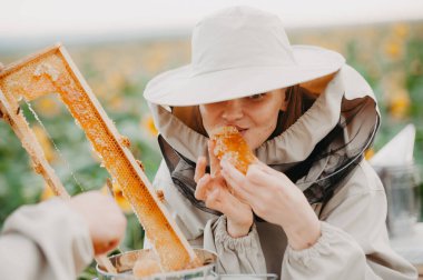 Genç arıcılar arılarla çalışır ve bal yerler. Genç bir arı yetiştiricisi ailesi ayçiçekli bir tarlada bal toplar. Bal toplama konsepti