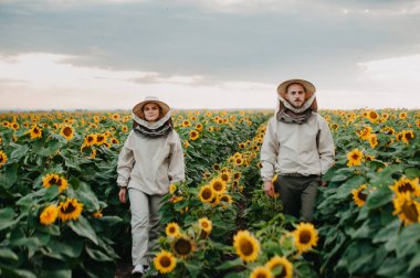 Genç arıcılar arılarla çalışır ve bal yerler. Genç bir arı yetiştiricisi ailesi ayçiçekli bir tarlada bal toplar. Bal toplama konsepti