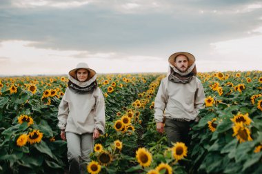 Genç arıcılar arılarla çalışır ve bal yerler. Genç bir arı yetiştiricisi ailesi ayçiçekli bir tarlada bal toplar. Bal toplama konsepti