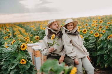 Genç arıcılar arılarla çalışır ve bal yerler. Genç bir arı yetiştiricisi ailesi ayçiçekli bir tarlada bal toplar. Bal toplama konsepti