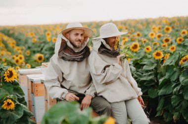 Genç arıcılar arılarla çalışır ve bal yerler. Genç bir arı yetiştiricisi ailesi ayçiçekli bir tarlada bal toplar. Bal toplama konsepti