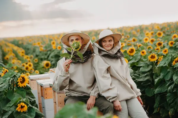Young beekeepers work with bees in the apiary and eat honey.A young family of beekeepers collects honey in a field with sunflowers. Honey collection concept
