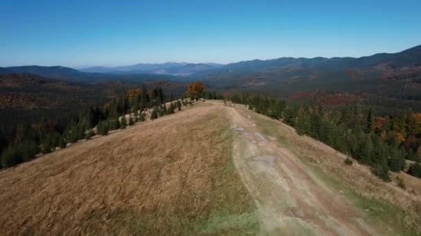 Panoramatický Výhled Krásné Podzimní Hory Karpat Frame Drone — Stock video