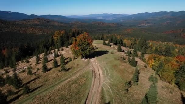 Panoramatický Výhled Krásné Podzimní Hory Karpat Frame Drone — Stock video