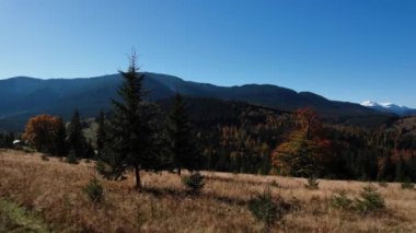 Karpatların güzel sonbahar dağlarının panoramik manzarası. 4k 'lık bir İHA' nın çerçevesi