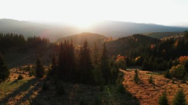 Karpatların güzel sonbahar dağlarının panoramik manzarası. 4k 'lık bir İHA' nın çerçevesi