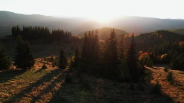 Karpatların güzel sonbahar dağlarının panoramik manzarası. 4k 'lık bir İHA' nın çerçevesi