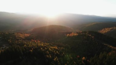 Karpatların güzel sonbahar dağlarının panoramik manzarası. 4k 'lık bir İHA' nın çerçevesi