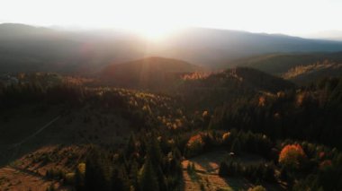 Karpatların güzel sonbahar dağlarının panoramik manzarası. 4k 'lık bir İHA' nın çerçevesi