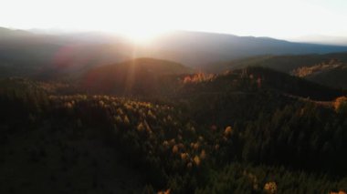 Karpatların güzel sonbahar dağlarının panoramik manzarası. 4k 'lık bir İHA' nın çerçevesi