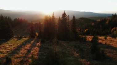 Karpatların güzel sonbahar dağlarının panoramik manzarası. 4k 'lık bir İHA' nın çerçevesi