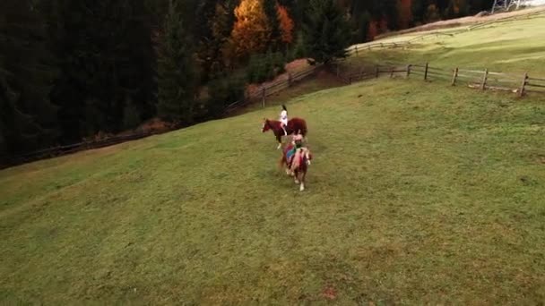 Cute Young Women Ride Horses National Ukrainian Dresses Carpathian Mountains — Stock Video