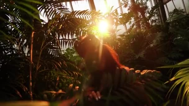 Seksowna Kobieta Masce Kota Bdsm Pozująca Tropikalnym Ogrodzie Wśród Palm — Wideo stockowe