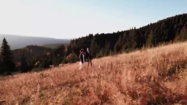 Auténtica Pareja Boda Caminando Por Las Montañas Otoño Atardecer Concepto — Vídeos de Stock